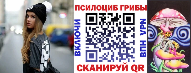 Псилоцибиновые грибы Psilocybine cubensis  Стерлитамак 